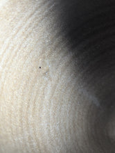 Load image into Gallery viewer, #S06 - Matte Dragonfly on Dark Clay Cup (Seconds Sale!)